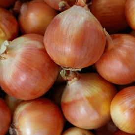 Yosemite, Onion Seeds